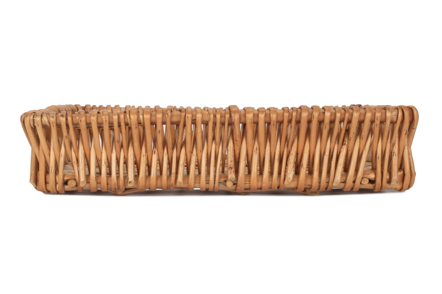 MEDIUM SHALLOW TRAY