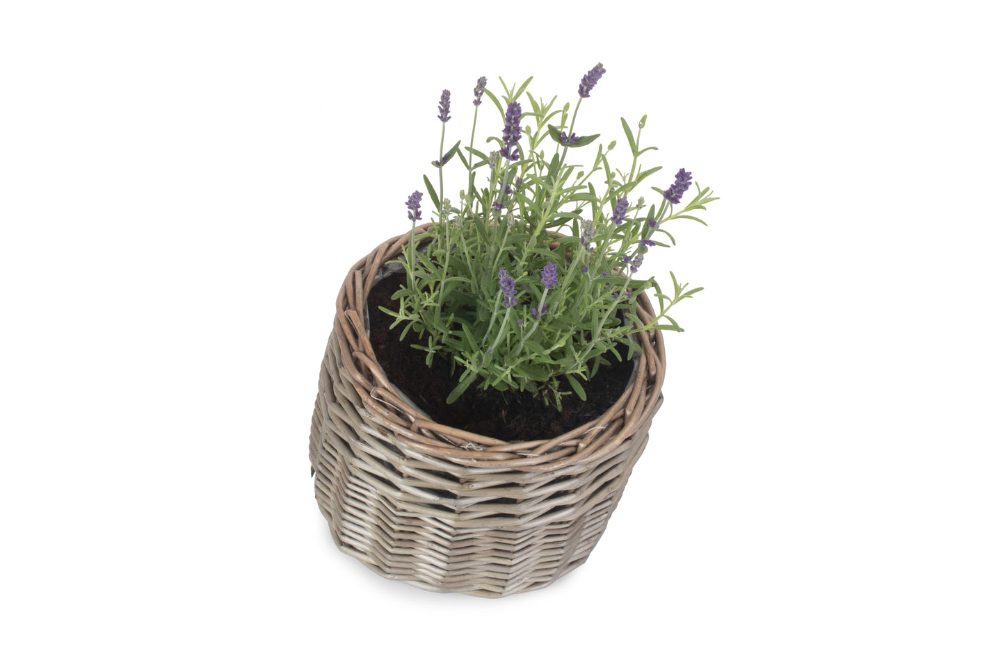 SMALL ROUND ANTIQUE WASH PLANTER