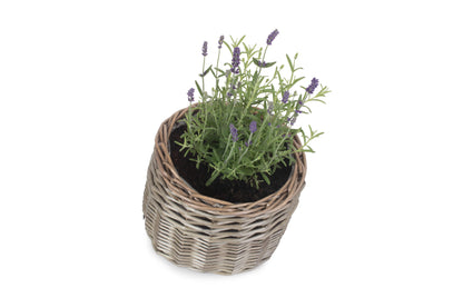 SMALL ROUND ANTIQUE WASH PLANTER