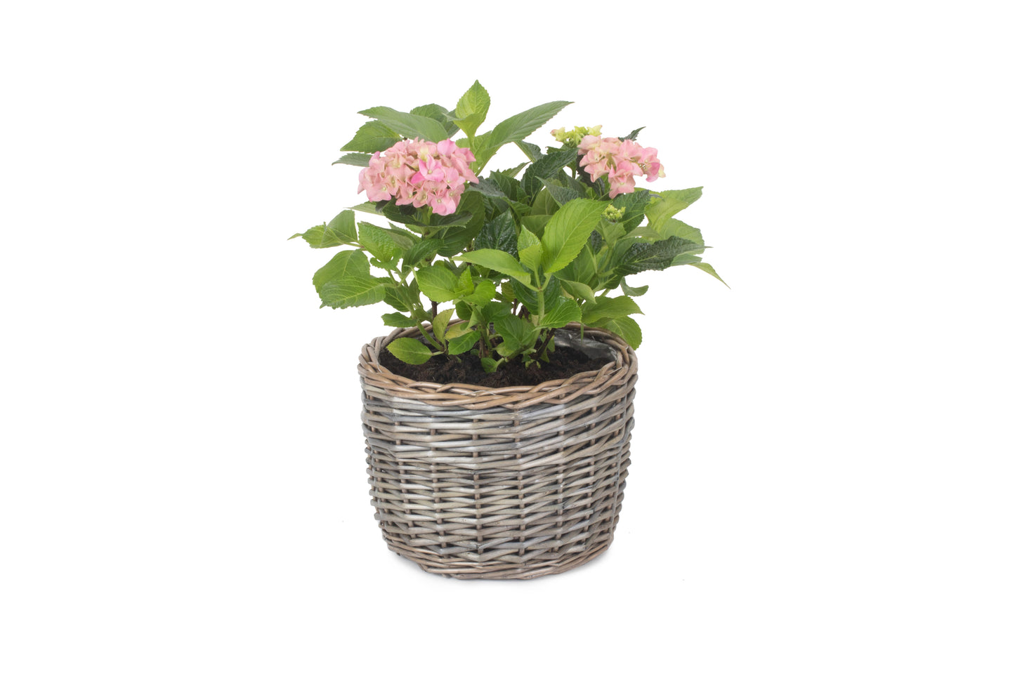 MEDIUM ROUND ANTIQUE WASH PLANTER