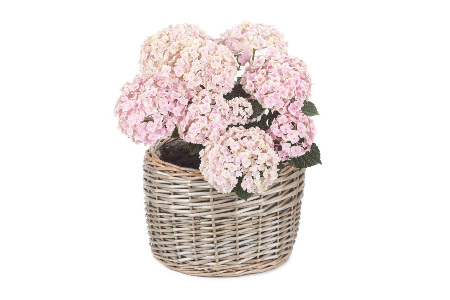 LARGE ROUND ANTIQUE WASH PLANTER